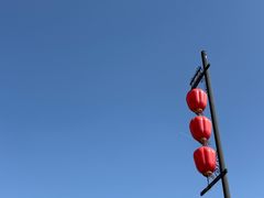 -东水关遗址公园
