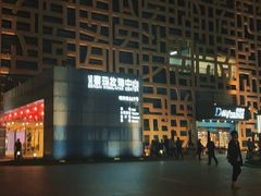 -证大喜玛拉雅中心