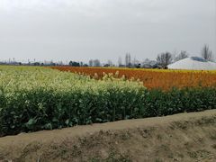 -中国天府农业博览园