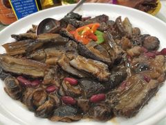 冬菇花胶海参煲-黄埔华苑酒家(黄埔店)