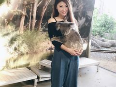 -可伦宾野生动物保护区