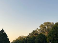 -北陵公园