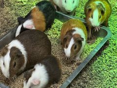 -福州罗源湾海洋世界旅游区