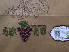 -美家乐农庄·露营·团建(大治路店)