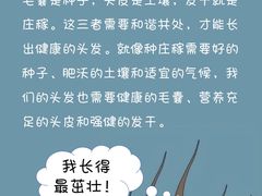 -莲花国际广场