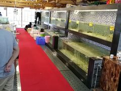 -顺德了能馆(虎门店)