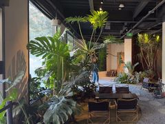 -J Create城市露营咖啡·简餐·宠物(上海动物园店)