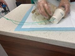 -心仪动物医院·牙专科·肿瘤·心脏科(西客站院)