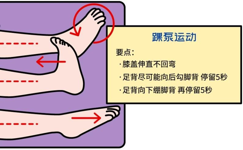 踝泵运动卡通图片