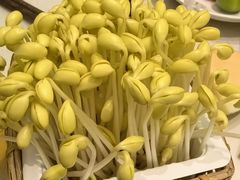 -巴奴毛肚火锅概念餐厅