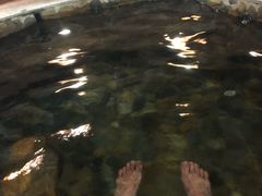 -天门沟九州驿站树上汤泉