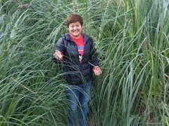 -贵阳市花溪国家城市湿地公园