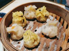 -点都德·毕德寮