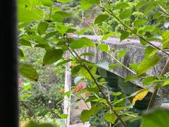 -梅州天地人花园酒店(梅县人民广场店)