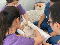 -萌兽医馆·眼科·异宠专科(三里屯店)