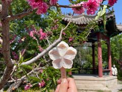 -北京凤凰岭