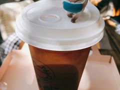 -喵屿·大理花园猫咖