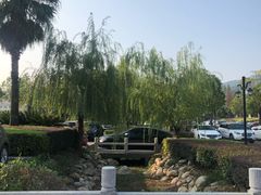 -庐山上汤温泉度假村