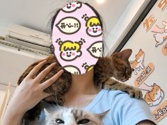 -有喵·猫咖·狗咖·30几只猫10只小狗(岗厦店)