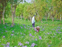 -白鹭湾湿地公园