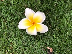 -厦门日月谷温泉渡假村