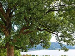 -东钱湖旅游度假区