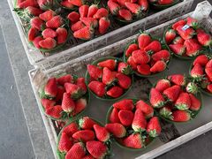 -东方鼎信农副产品交易中心