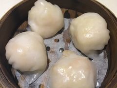 -富豪酒家(正大广场店)