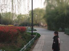 -洛阳市隋唐城遗址植物园