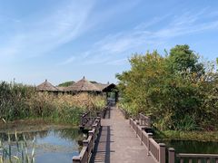 -梁鸿国家湿地公园