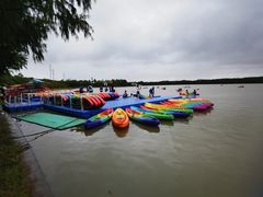 -上海海湾国家森林公园