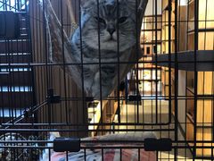 -金谷里艺术馆