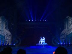 -珠海横琴长隆《卡卡虎奇遇记》