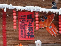 -龙湾潭国家森林公园