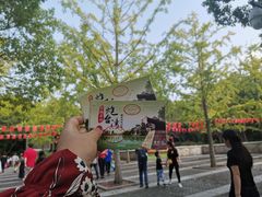 -吴淞炮台湾湿地森林公园烧烤区