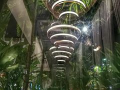 -Palate Angkor Restaurant & Bar