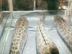 -要德火锅(鼓楼店)