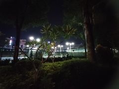 -深圳市宝安体育中心体育场