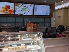 -蒲公英(五里店)