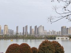 -洋湖国家湿地公园