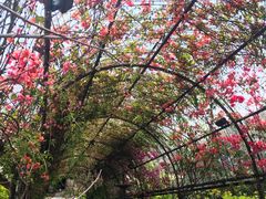 -The Grounds of Alexandria