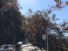 -广州市石门国家森林公园