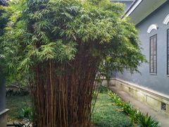 -湖南省立第一师范学校旧址