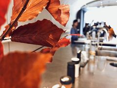 -Seesaw Coffee(上生新所店)