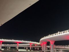 -演武大桥观景平台