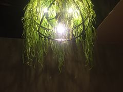 -通海俄式烧烤(下瓦房店)