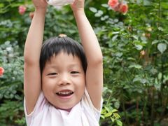 -金豆子幼稚园