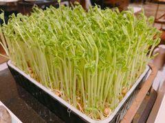 -捞神汤物料理(正大广场店)