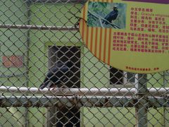 -荆州中山公园动物园