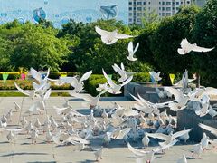 -山海广场